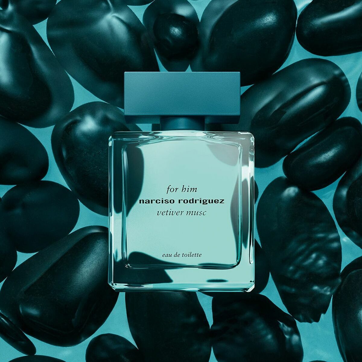 Men's Perfume Narciso Rodriguez For Him Vetiver Musc EDT 100 ml-2