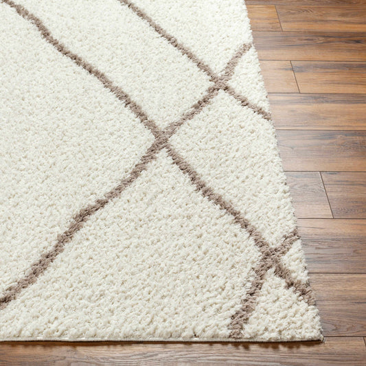 Awnan Area Rug-1