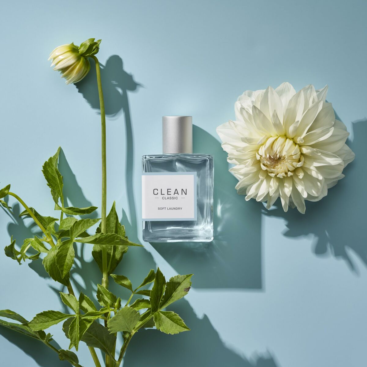 Unisex Perfume Clean-5