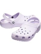 Crocs Classic lavendel