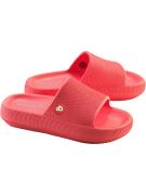 Schuzz red slides