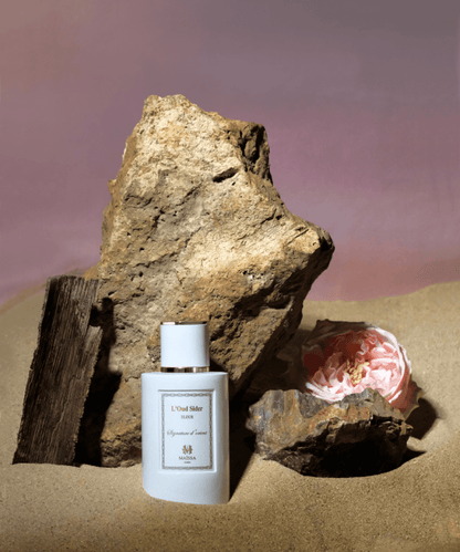 L'Oud Sider-3