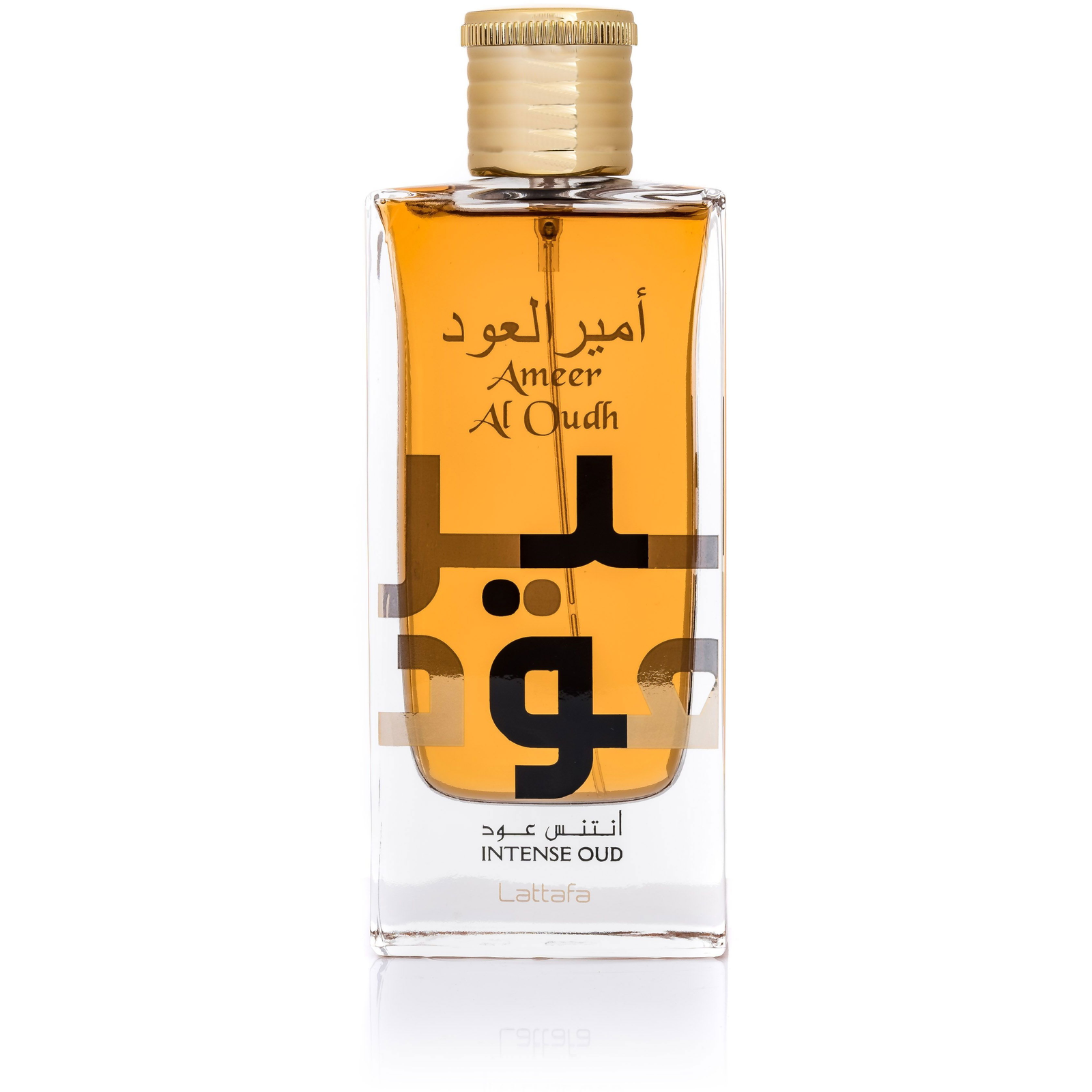 LATTAFA Ameer Al Oudh Intense Oud EdP 100ml (6291107458571)-0