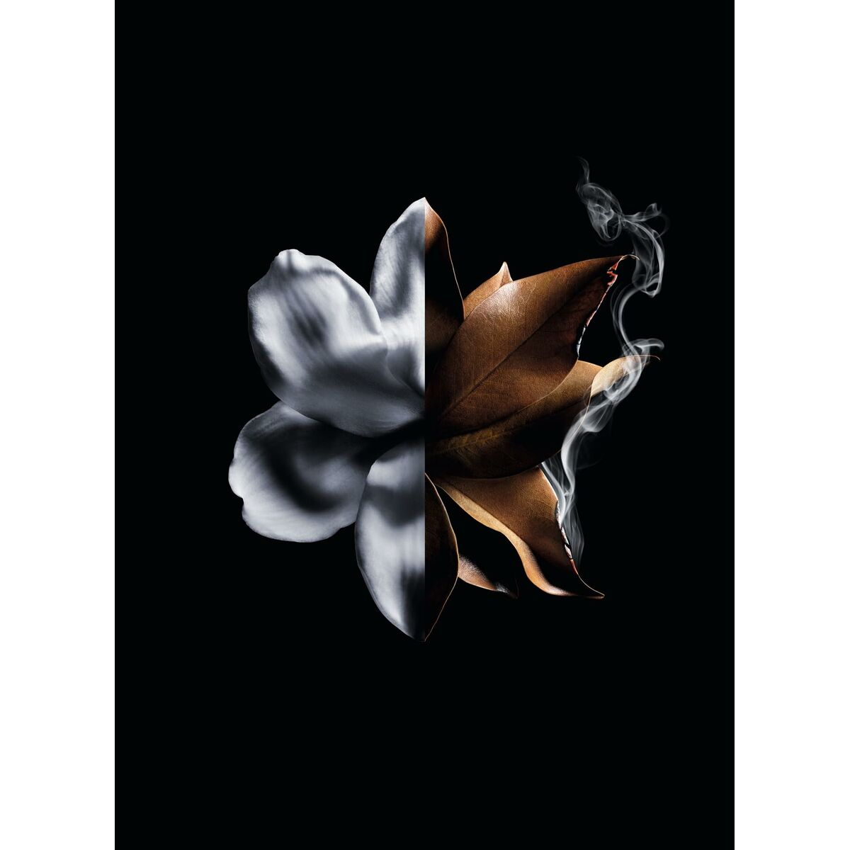 Women's Perfume Givenchy L'Interdit Absolu L'Interdit Absolu 50 ml-4