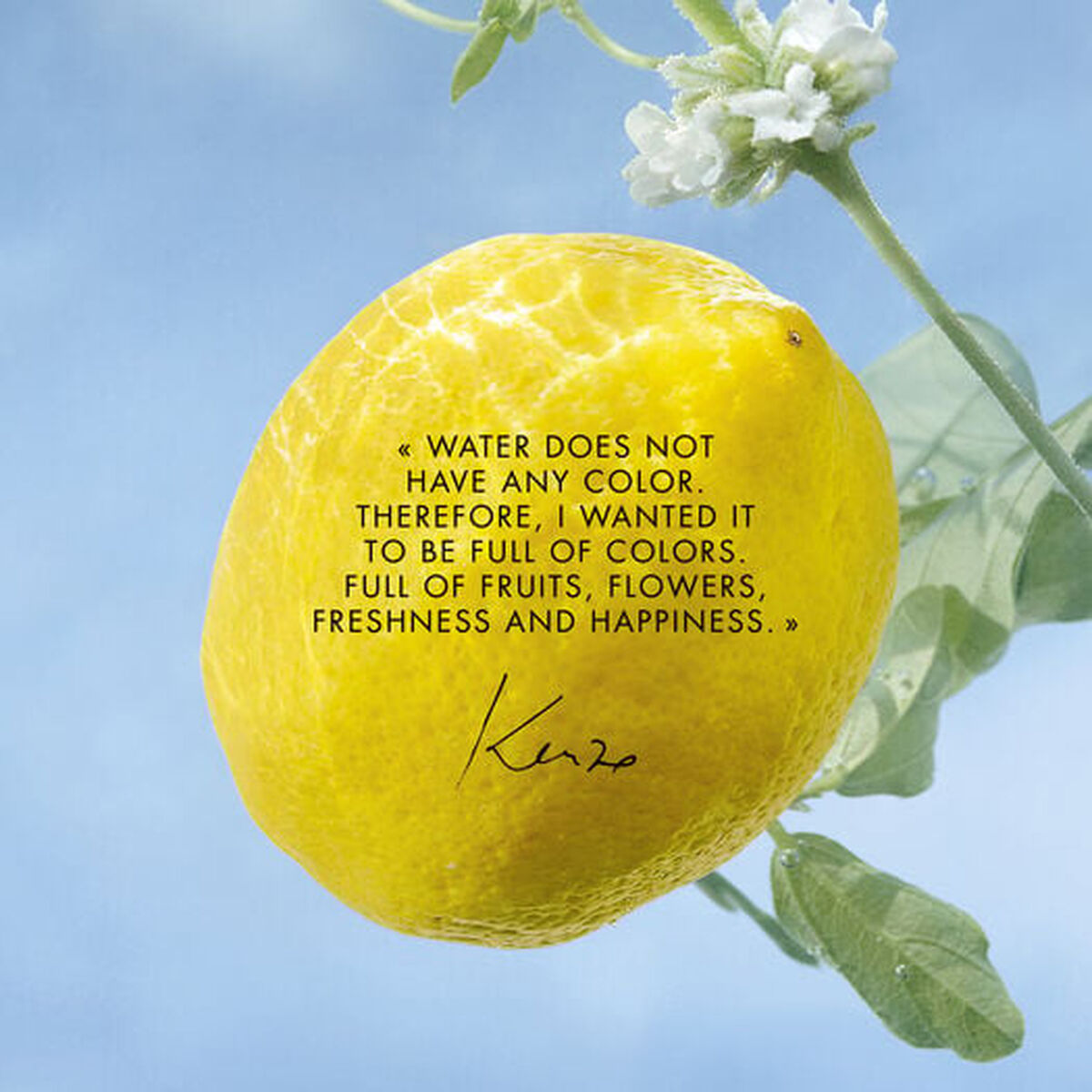 Unisex Perfume Kenzo L'EAU PURE-2