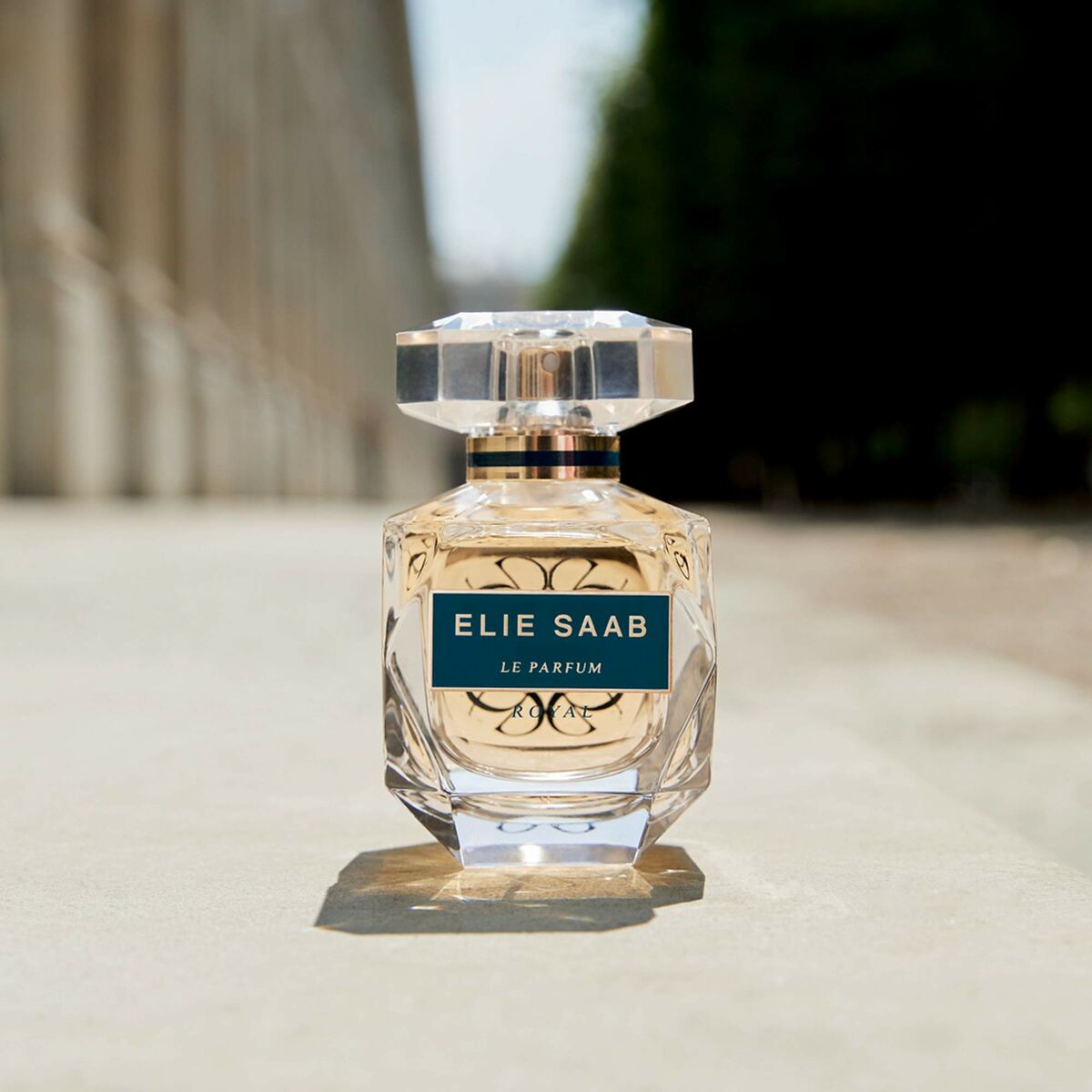 Women's Perfume Elie Saab Le Parfum Royal EDP 50 ml-8