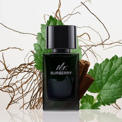 Men's Perfume Burberry Mr. Burberry 100 ml-5