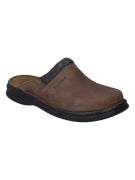 Seibel Max brown