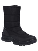 Seibel Alaska Black