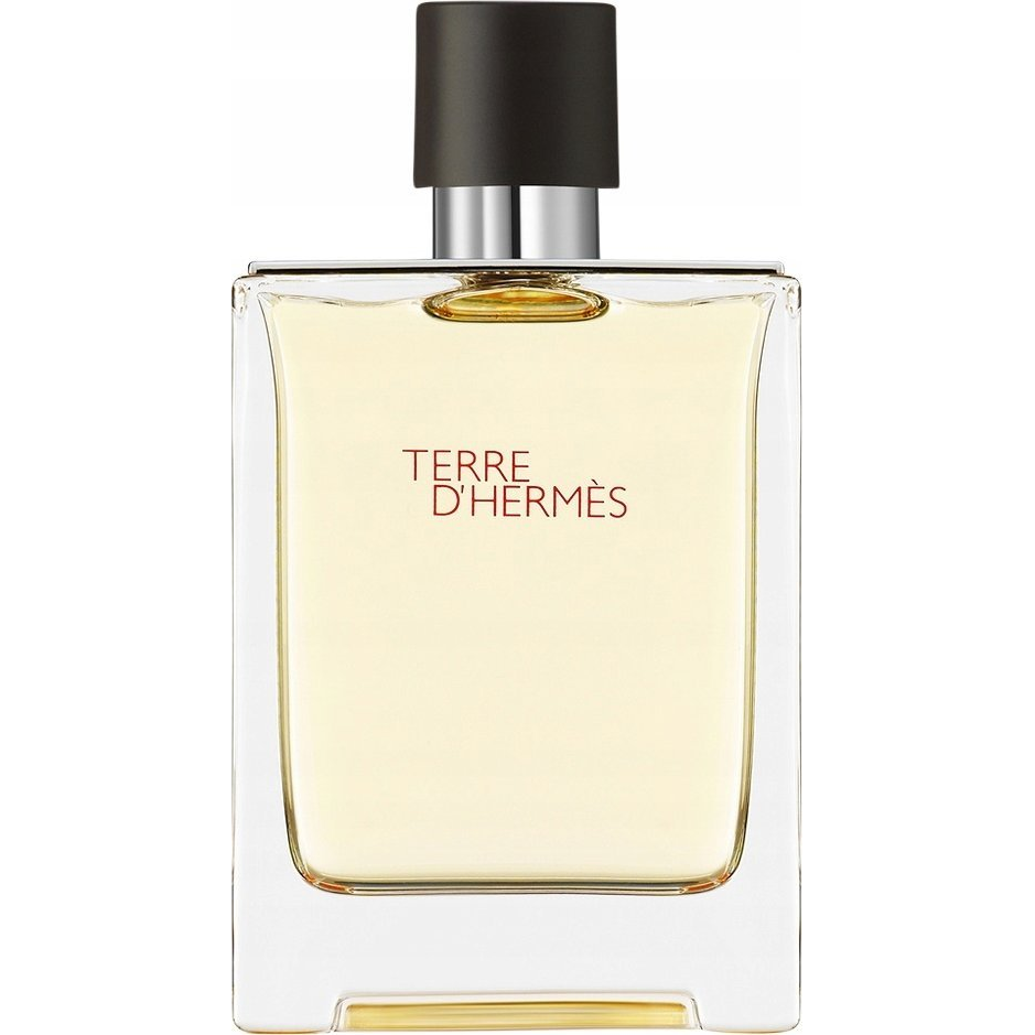 Hermes Terre D'hermes Eau De Toilette Purškiklis 100ml (1990)-0