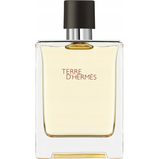 Hermes Terre D'hermes Eau De Toilette Purškiklis 100ml (1990)-0