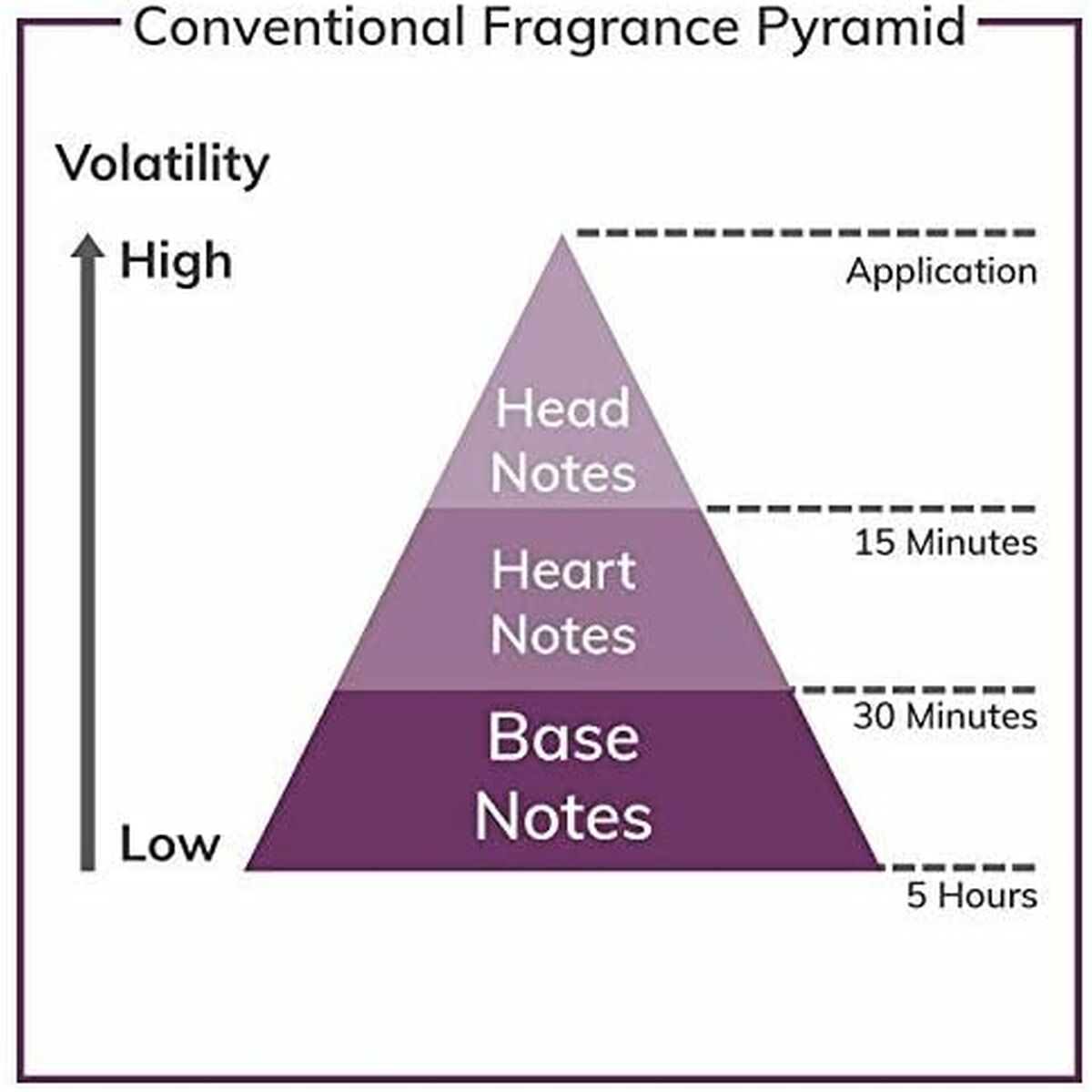 Unisex Perfume Lorenzo Villoresi Firenze Musk 100 ml-3