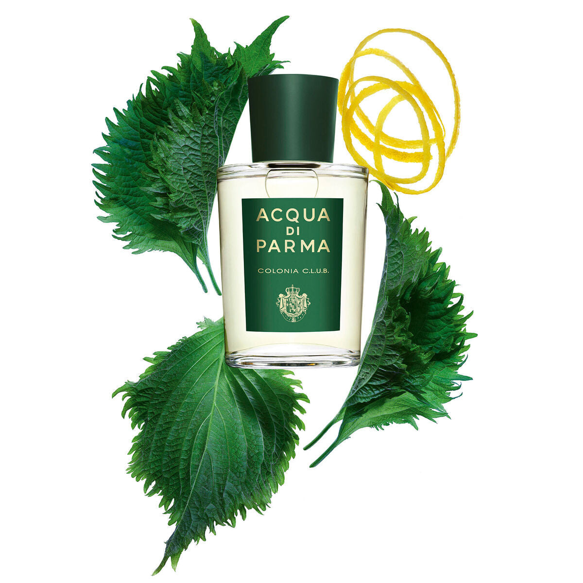 Unisex Perfume Acqua Di Parma Colonia Club EDC 100 ml 96 g-6