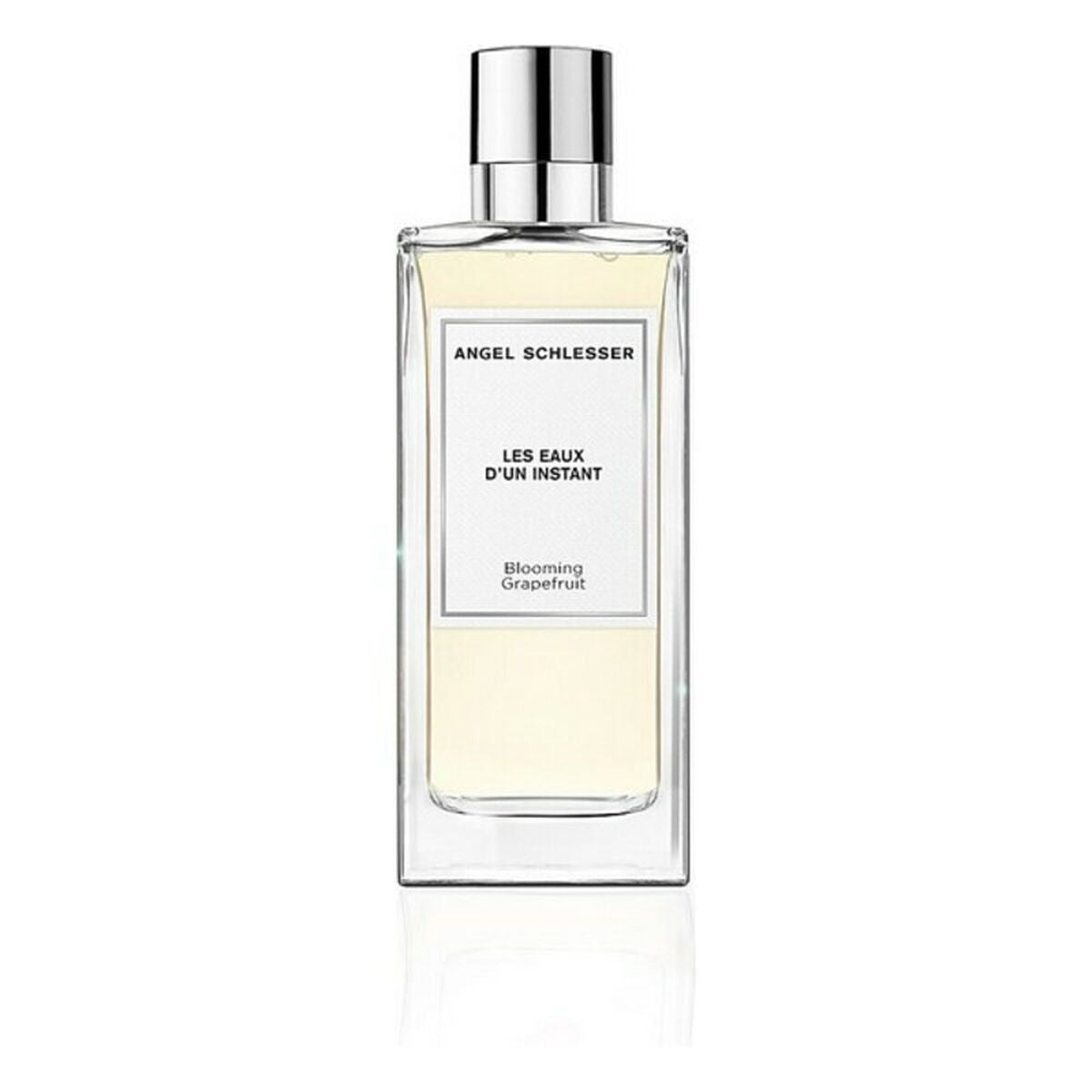 Women's Perfume Angel Schlesser BF-8058045426837_Vendor EDT 100 ml-0