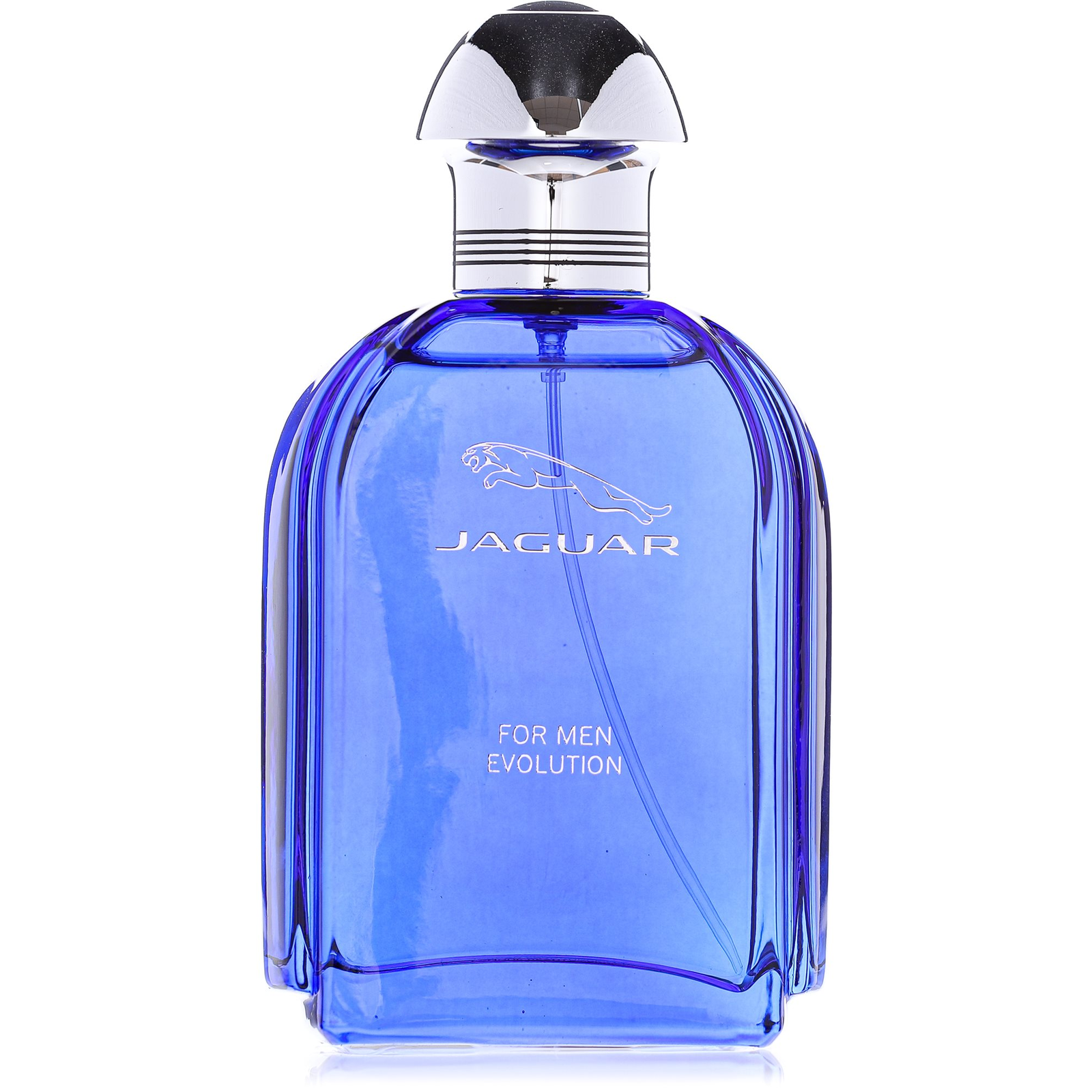 Jaguar Evolution EDT 100 ml (7640111505280)-0