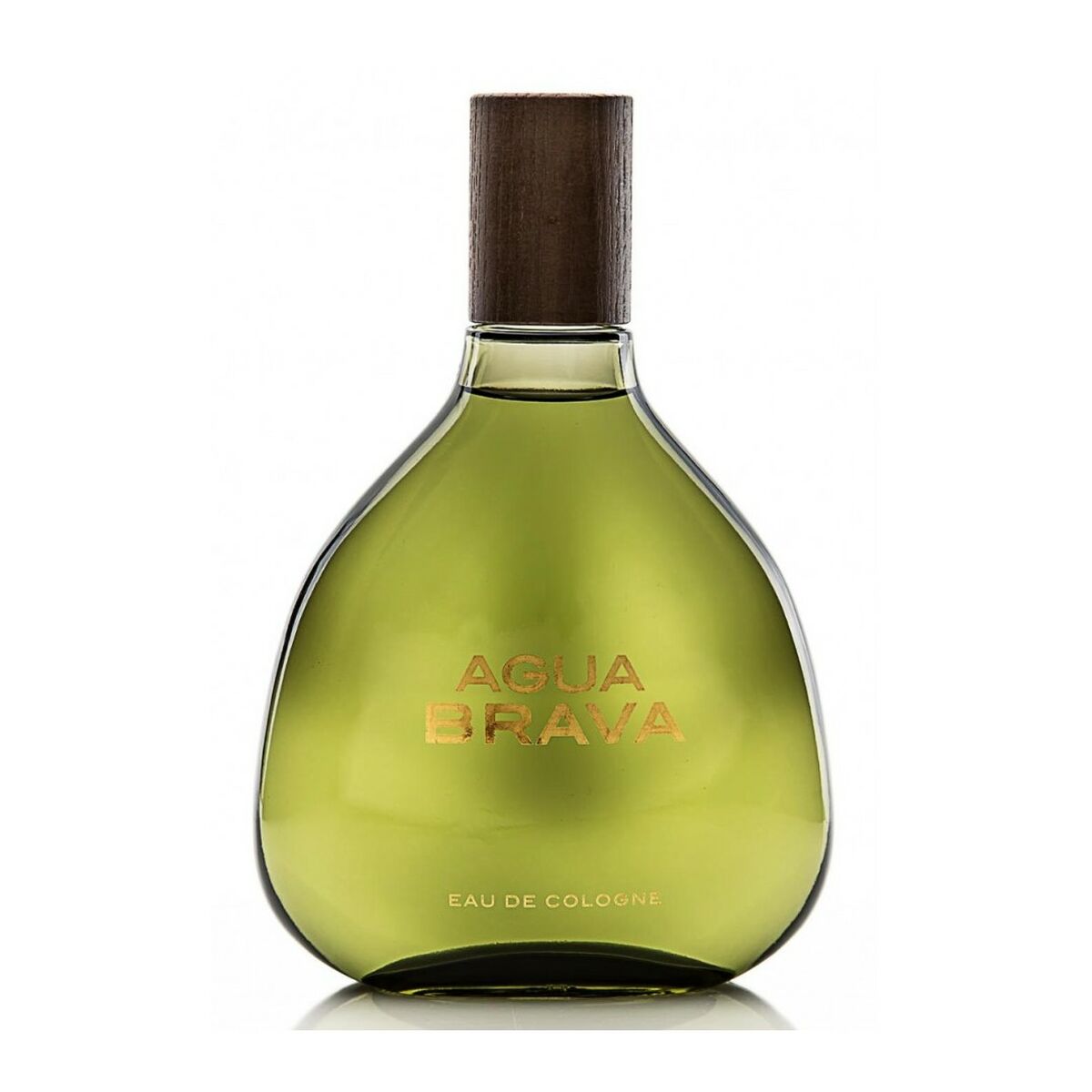 Men's Perfume Puig Agua Brava EDC 100 ml-3