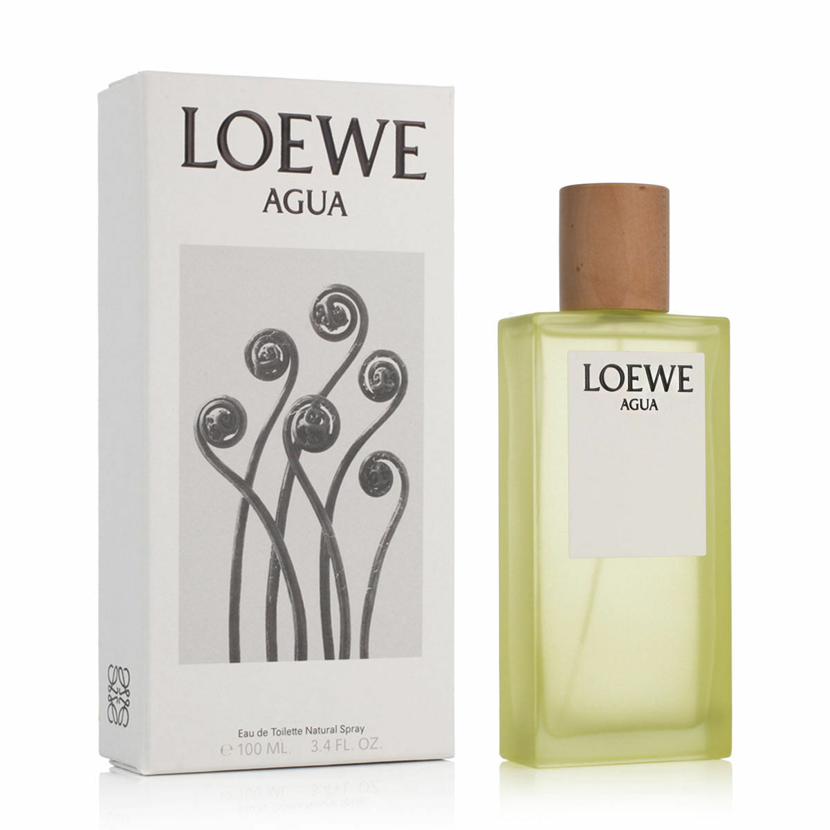 Men's Perfume Loewe Agua EDT 100 ml-0