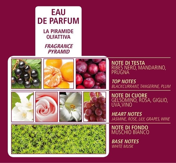 ACQUA DI BOLGHERI Bacche di Vinum Eau de Parfum 100 ml-2