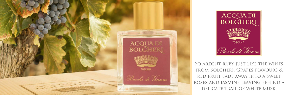 ACQUA DI BOLGHERI Bacche di Vinum Eau de Parfum 100 ml-3
