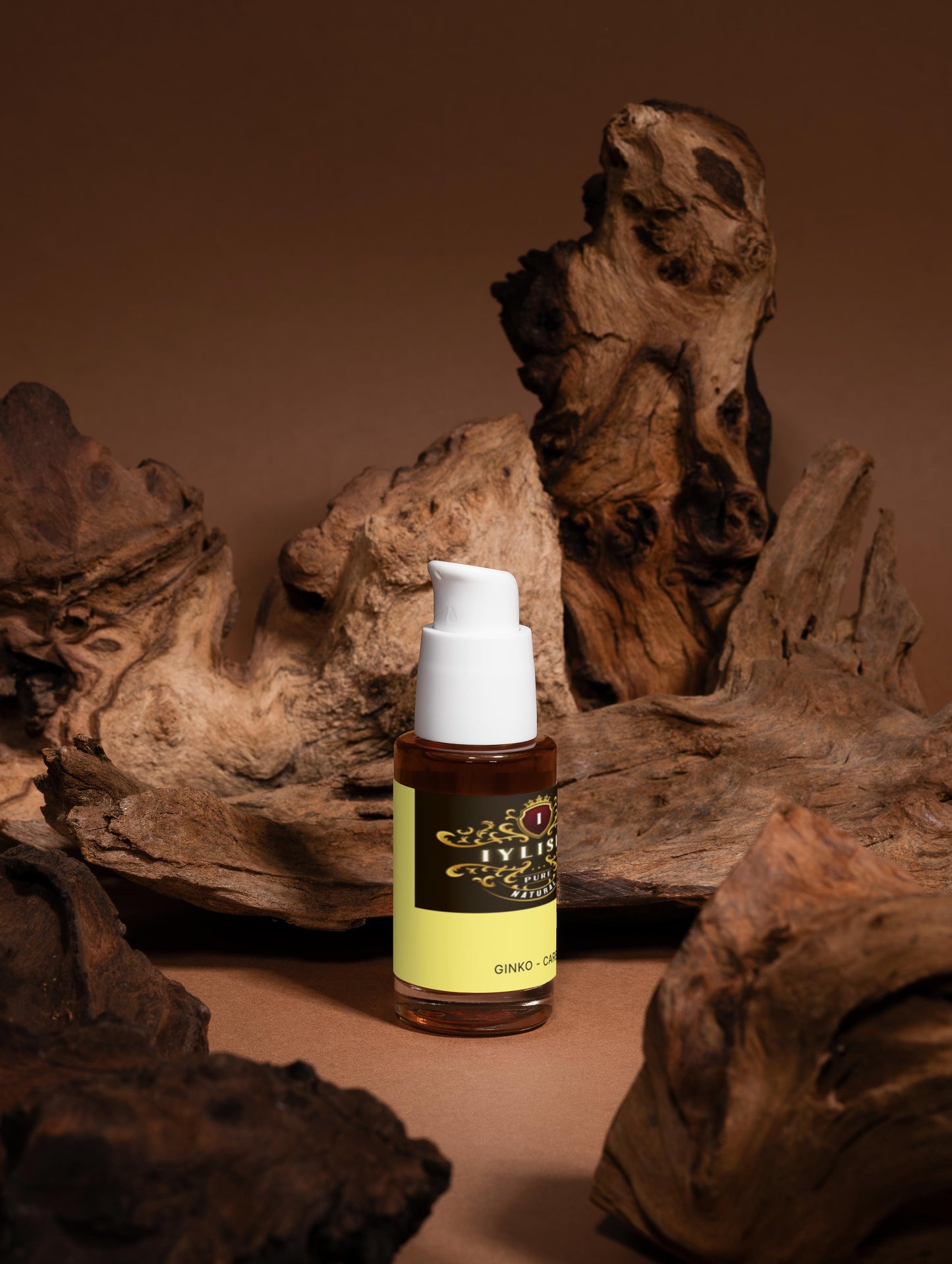 Antioxidant Ginkgo Gel Booster
