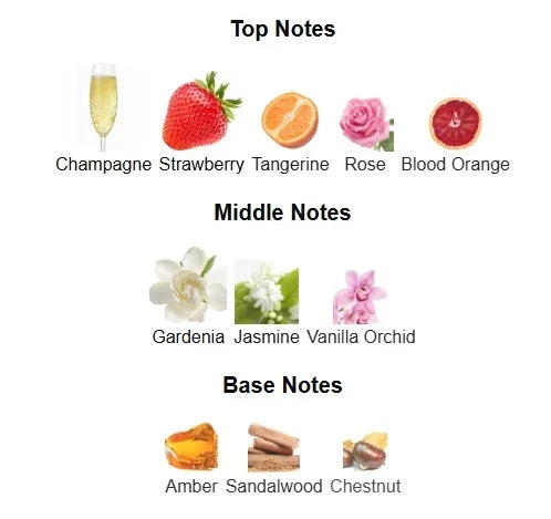 100 ml Markenparfums Hochwertige Eau de Toilette Langanhaltender Geruch Pheromonübertragung Dateable Blumenduft Körperspray