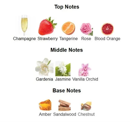 100 ml Markenparfums Hochwertige Eau de Toilette Langanhaltender Geruch Pheromonübertragung Dateable Blumenduft Körperspray