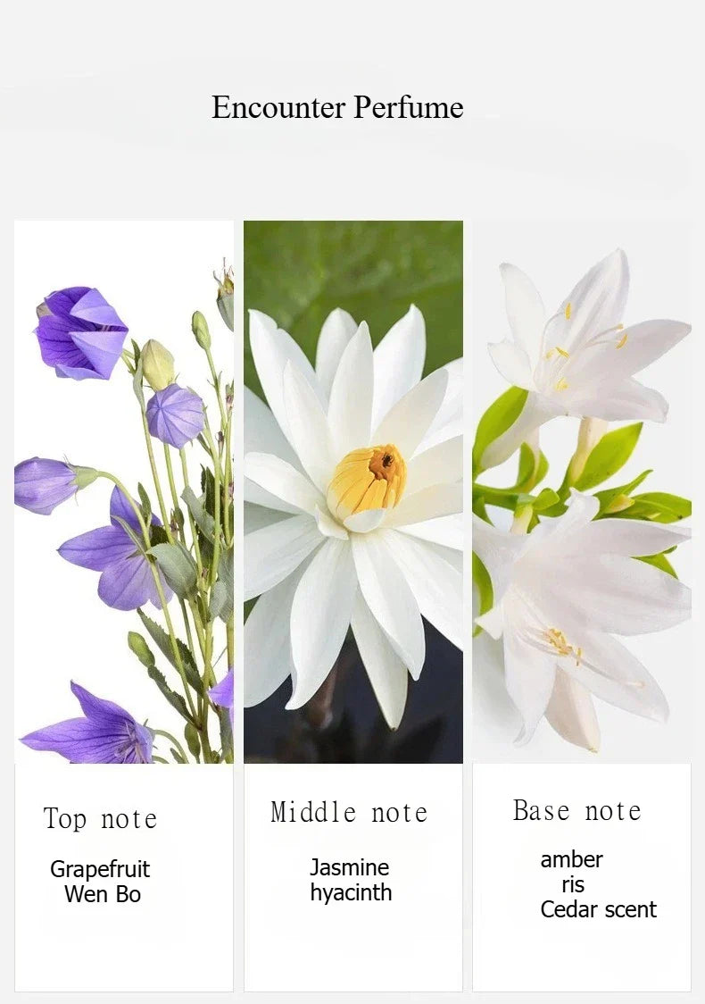 30 ml x 3PCS Eau De Parfum Geschenkbox Feminino Spray Frischer leichter Duft Floral Fruity Chypre Notes Langlebiges Damenparfüm-Set