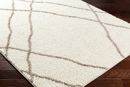 Awnan Area Rug-2