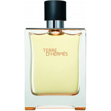 Hermès Terre d'Hermes EDT 100 ml (6100003)-0